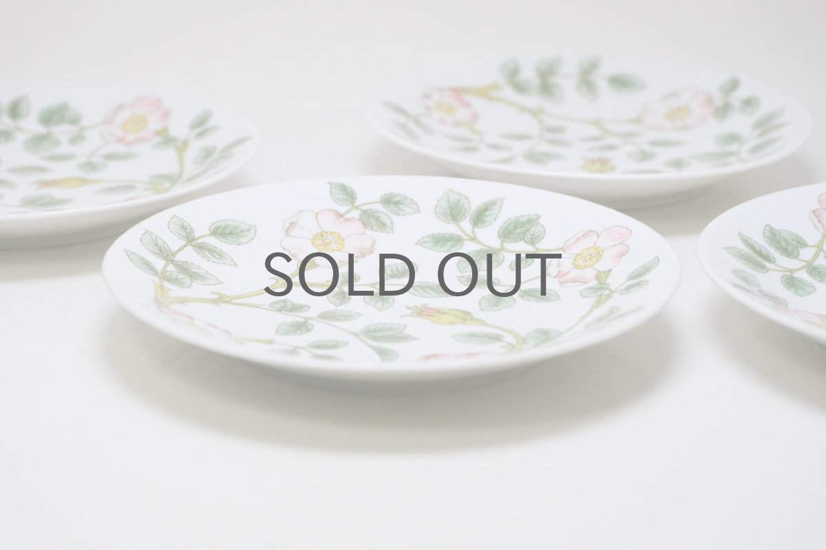 画像7: Rorstrand/ロールストランド/Nyponros/ニポンロス/17cm/プレート (7)