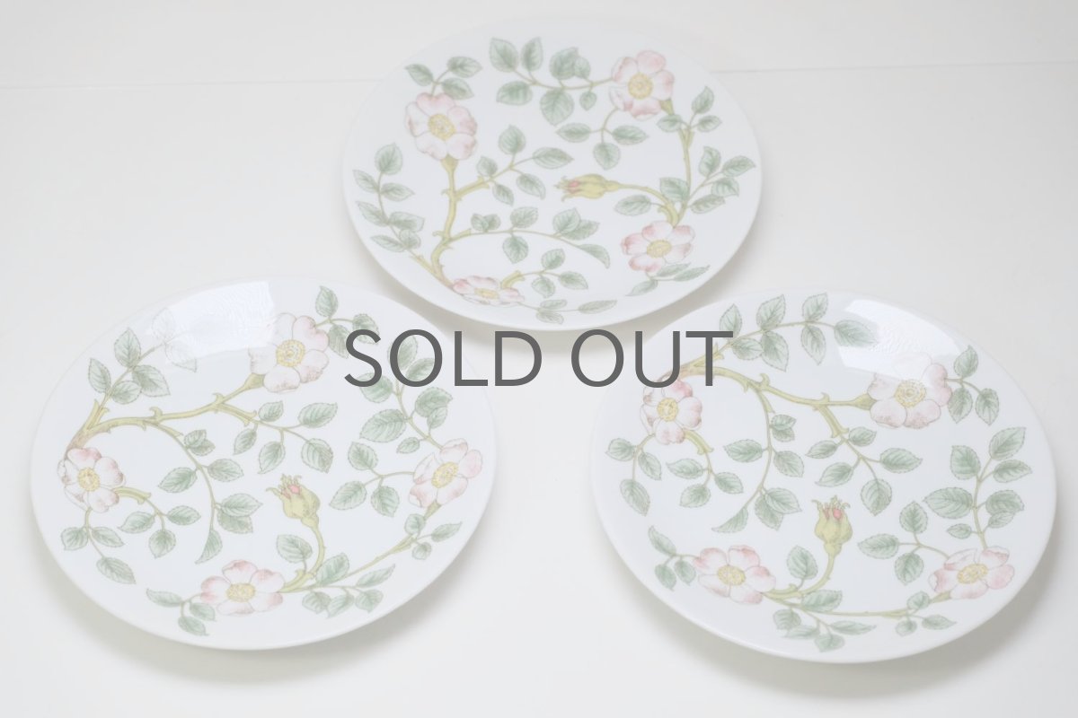 画像6: Rorstrand/ロールストランド/Nyponros/ニポンロス/17cm/プレート (6)