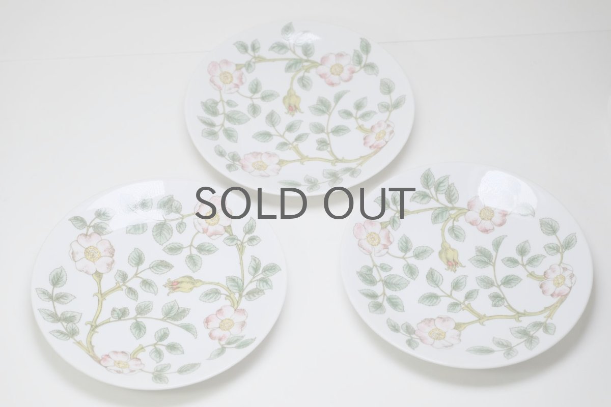 画像9: Rorstrand/ロールストランド/Nyponros/ニポンロス/17cm/プレート (9)
