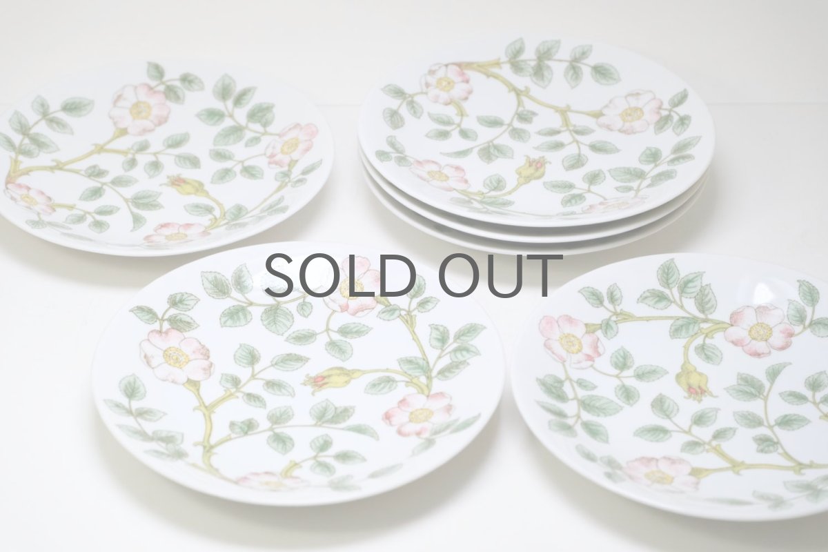 画像8: Rorstrand/ロールストランド/Nyponros/ニポンロス/17cm/プレート (8)