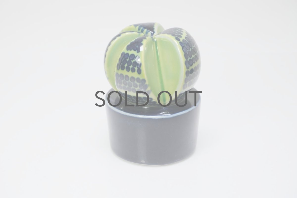 画像2: Rorstrand/ロールストランド/Mariamnne Westman/Kaktusar/カクタス/サボテン/MW220 (2)