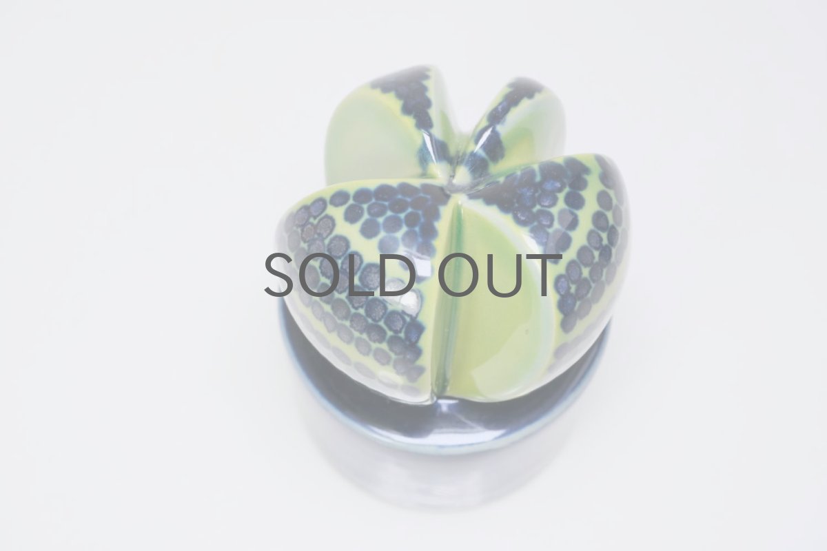 画像3: Rorstrand/ロールストランド/Mariamnne Westman/Kaktusar/カクタス/サボテン/MW220 (3)