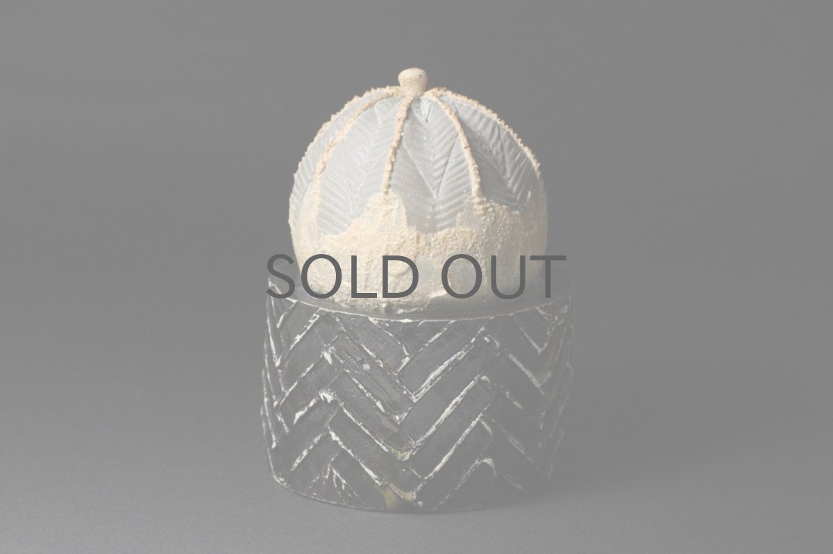 画像4: STUDIO.ZOK/サボテン/陶植/オベサ/Sサイズ/ホワイト/TO111W/BE (4)