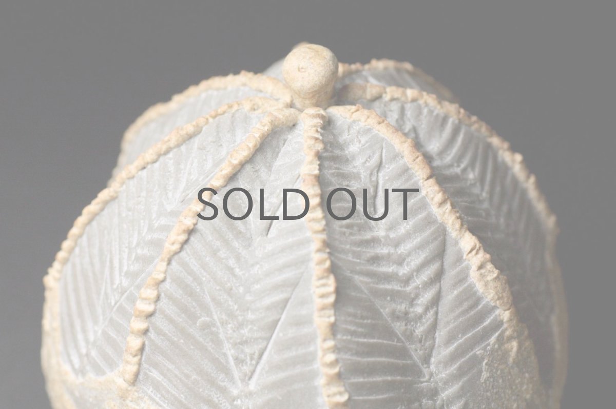 画像3: STUDIO.ZOK/サボテン/陶植/オベサ/Sサイズ/ホワイト/TO111W/BE (3)