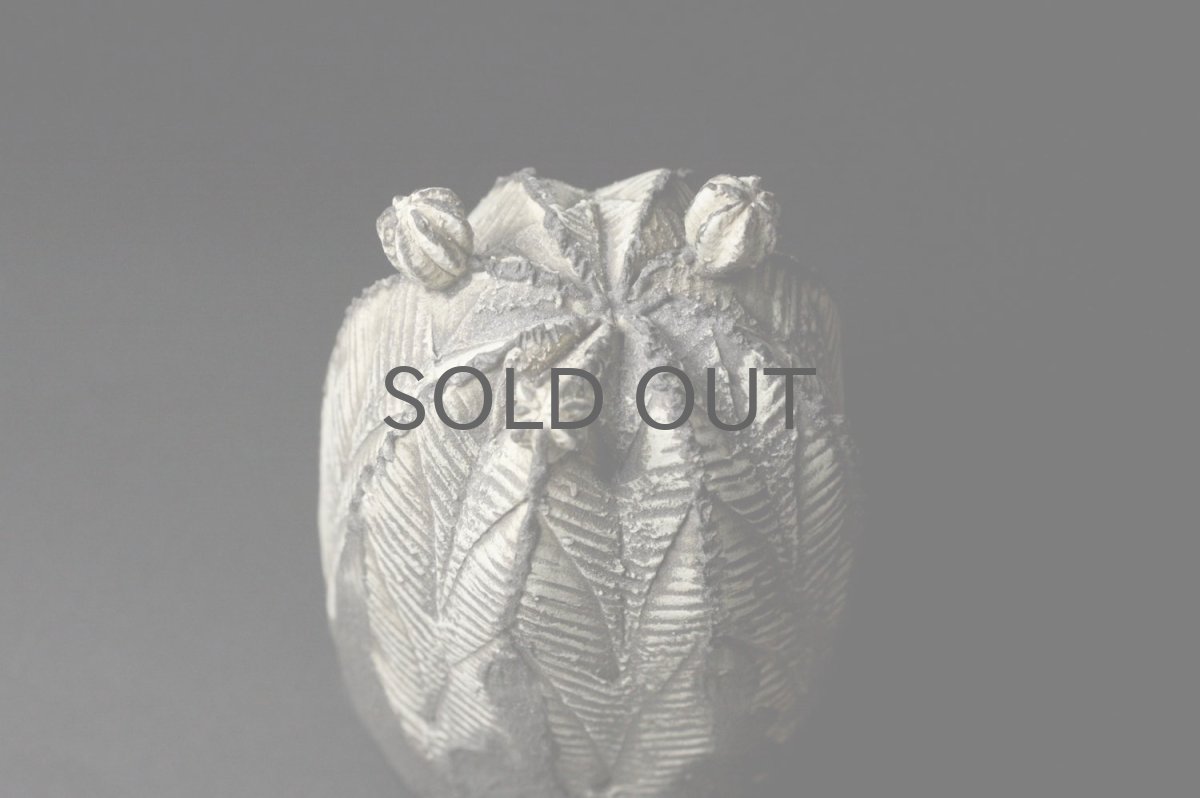 画像4: STUDIO.ZOK/サボテン/陶植/オベサ/小株付き/ブラック/Sunadishオリジナルオーダー品 (4)