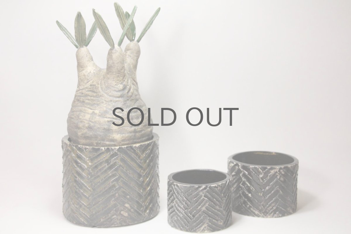 左の大きな鉢です