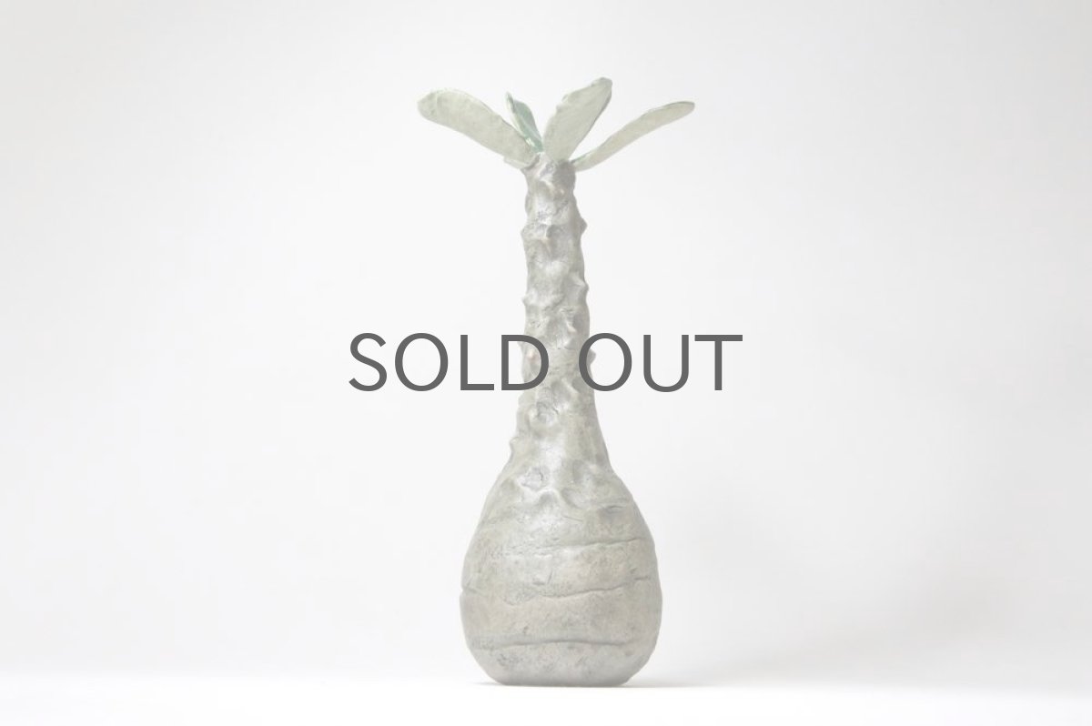 画像2: STUDIO.ZOK/サボテン/陶植/ウィンゾリー/グリーン (2)