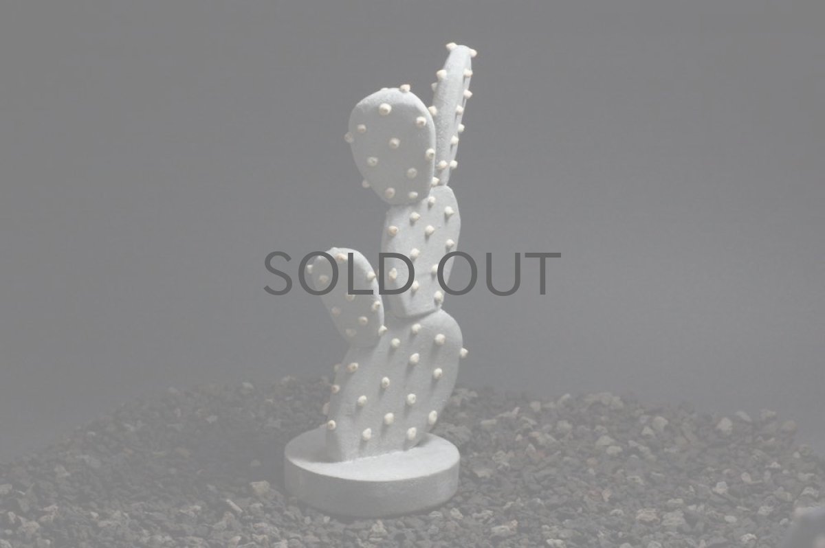 画像3: STUDIO.ZOK/サボテン/陶植/ウチワサボテン/Sサイズ (3)