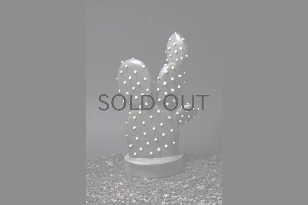 画像3: STUDIO.ZOK/サボテン/陶植/ウチワサボテン/Mサイズ/ブラック (3)