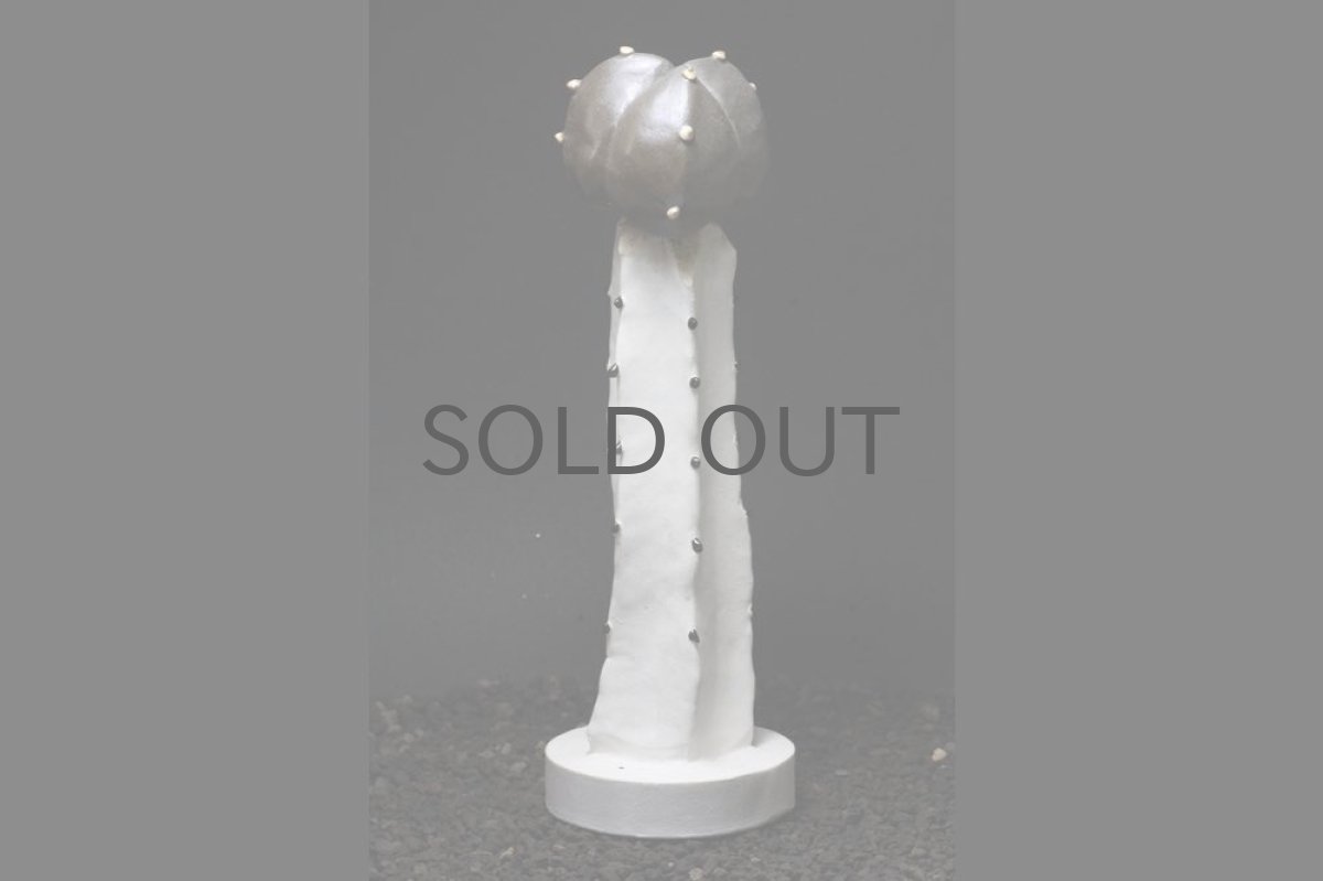 画像2: STUDIO.ZOK/サボテン/陶植/接ぎ木/ランボー玉/ホワイト (2)