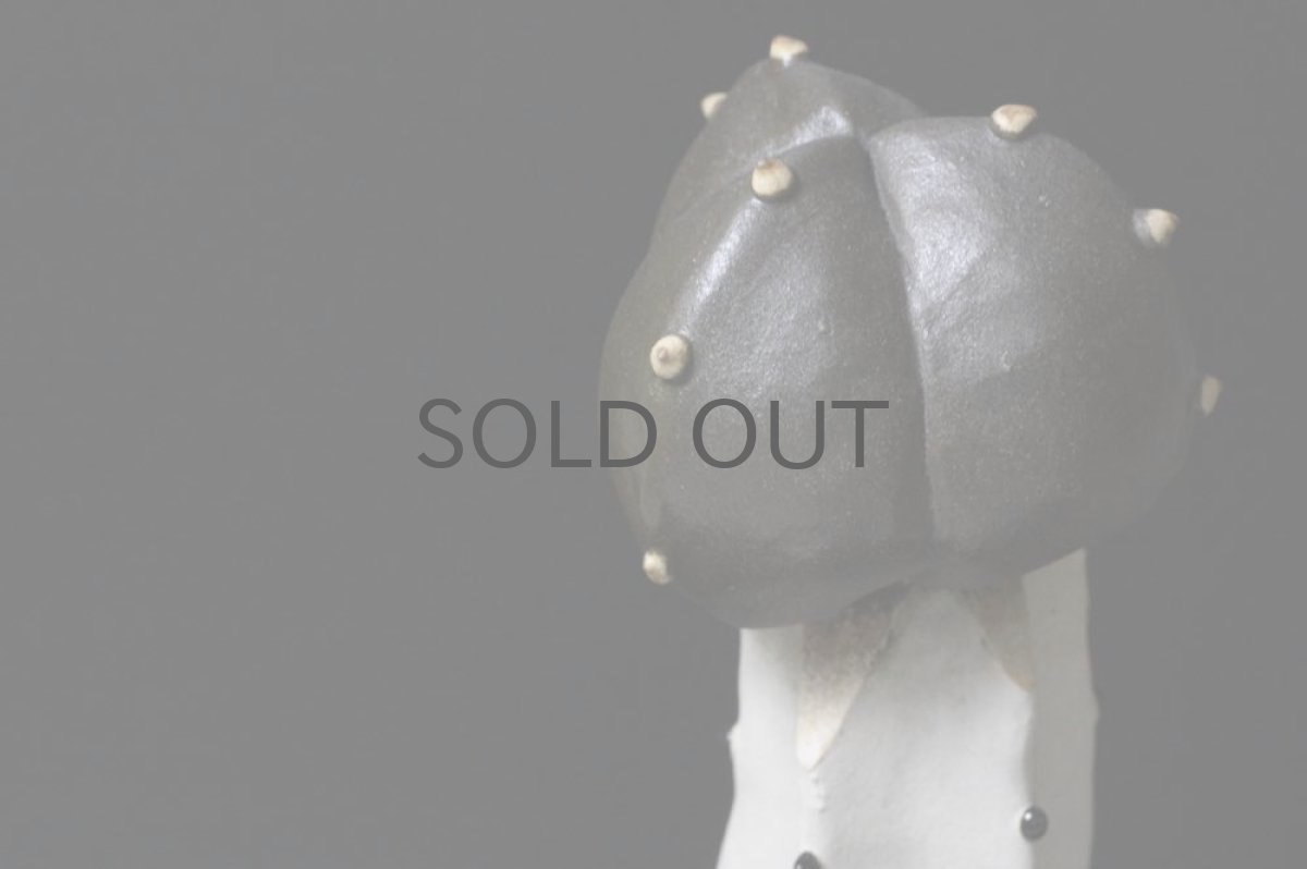 画像3: STUDIO.ZOK/サボテン/陶植/接ぎ木/ランボー玉/ホワイト (3)