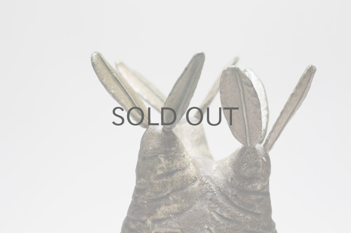 画像3: STUDIO.ZOK/サボテン/陶植/グラキリス/Sサイズ (3)