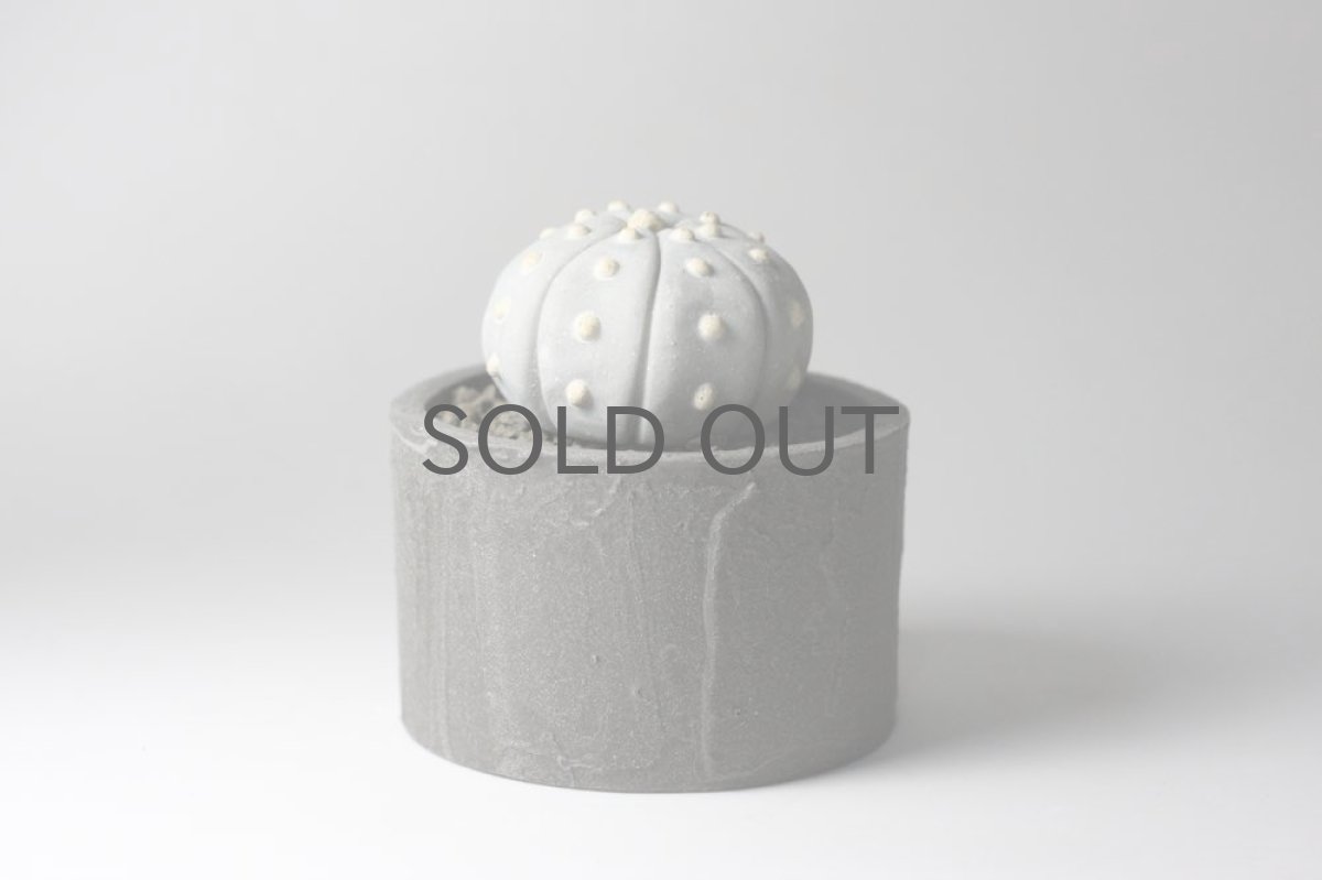 画像3: STUDIO.ZOK/サボテン/陶植/No.1 (3)