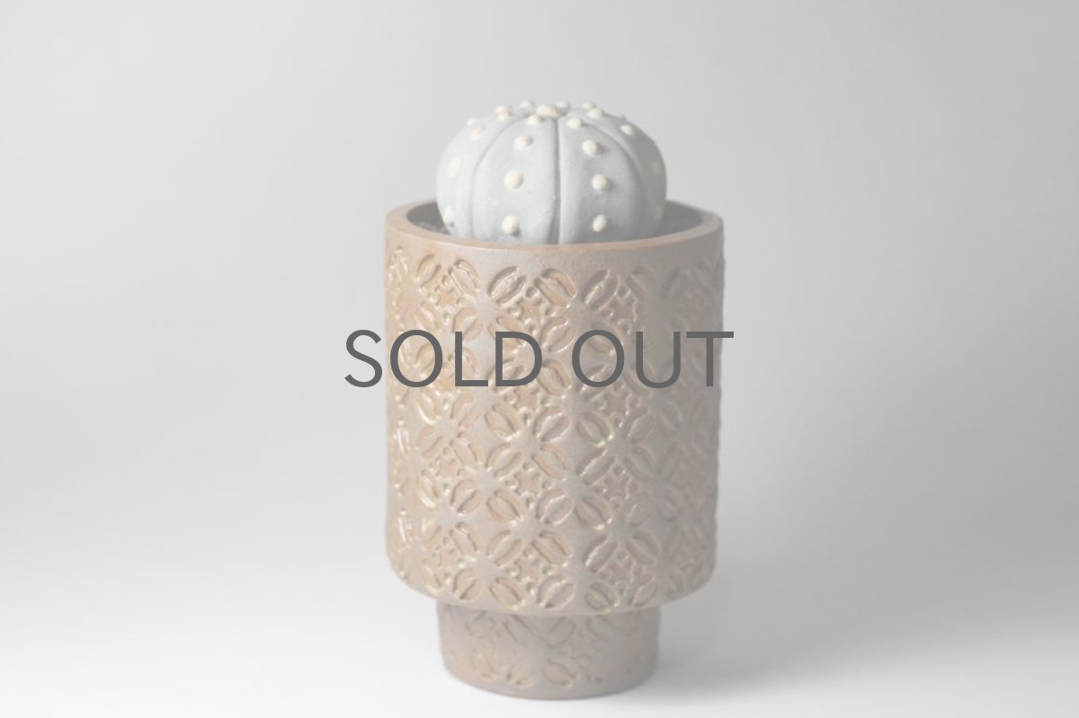 画像4: STUDIO.ZOK/サボテン/陶植/No.1 (4)