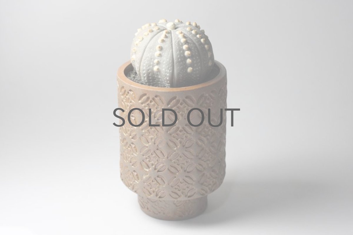 画像4: STUDIO.ZOK/サボテン/陶植/兜丸/グリーン (4)