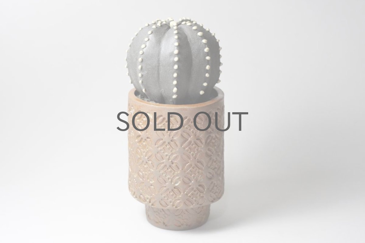 画像4: STUDIO.ZOK/サボテン/陶植/No.7 (4)