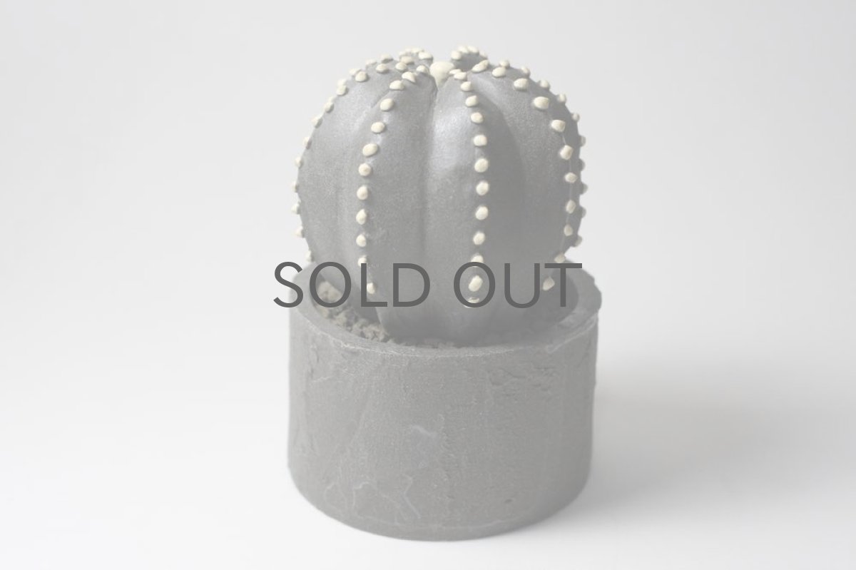 画像3: STUDIO.ZOK/サボテン/陶植/No.7 (3)