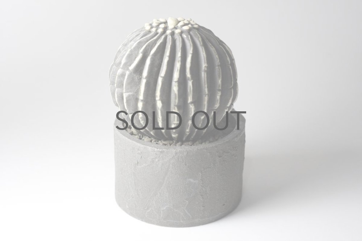 画像3: STUDIO.ZOK/サボテン/陶植/No.9 (3)