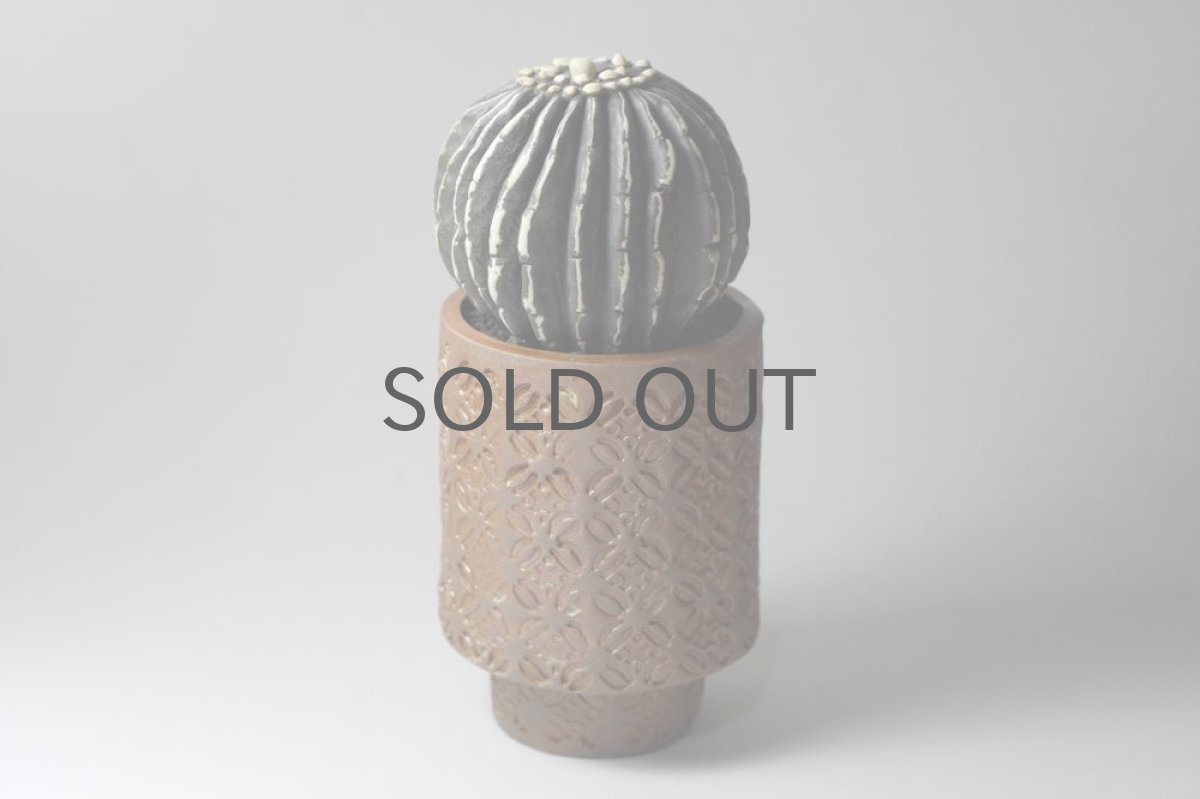 画像4: STUDIO.ZOK/サボテン/陶植/No.9 (4)