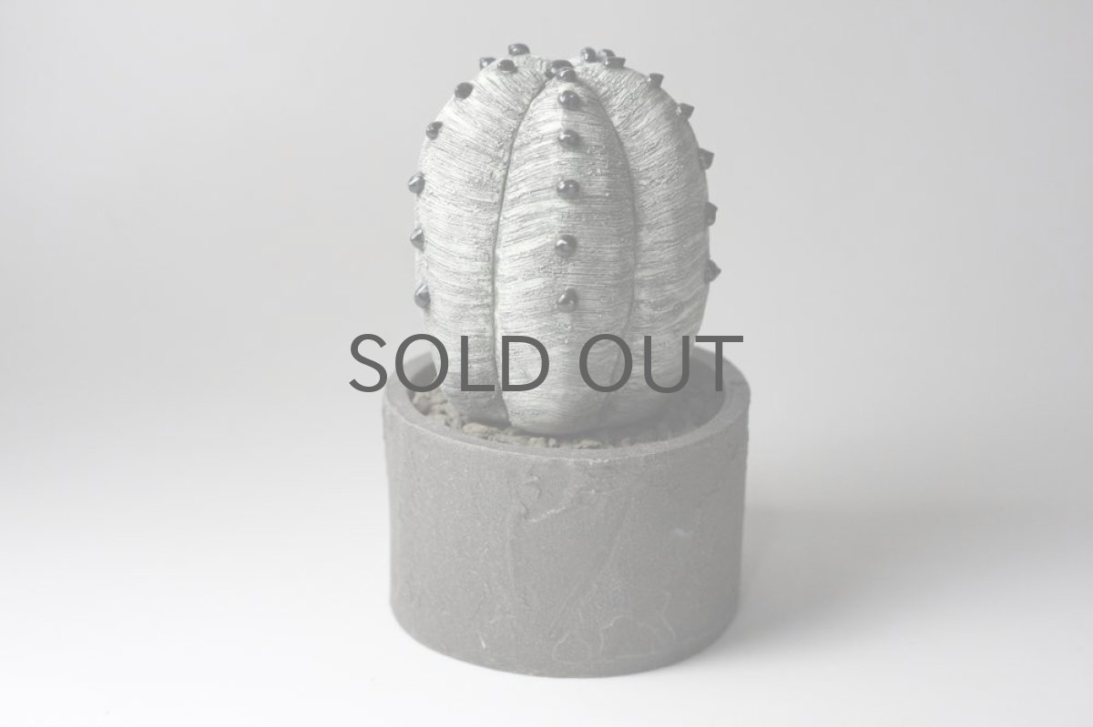 画像3: STUDIO.ZOK/サボテン/陶植/No.10 (3)