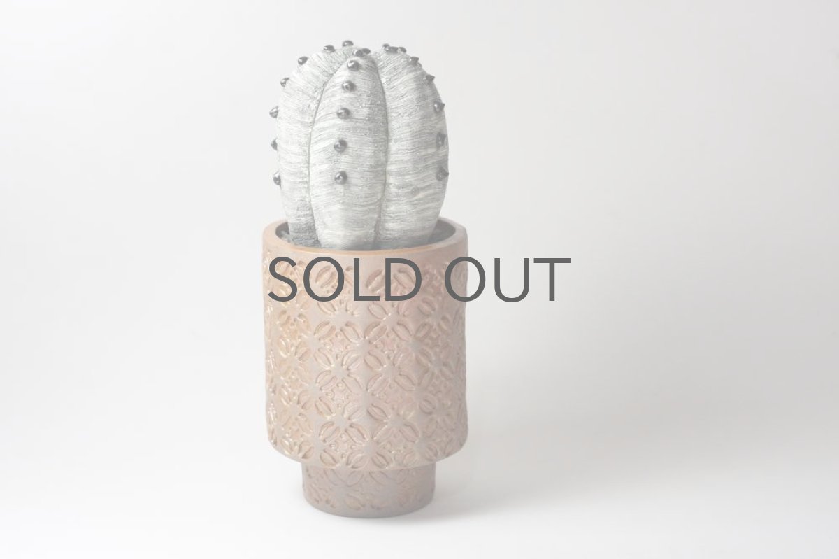 画像4: STUDIO.ZOK/サボテン/陶植/No.10 (4)