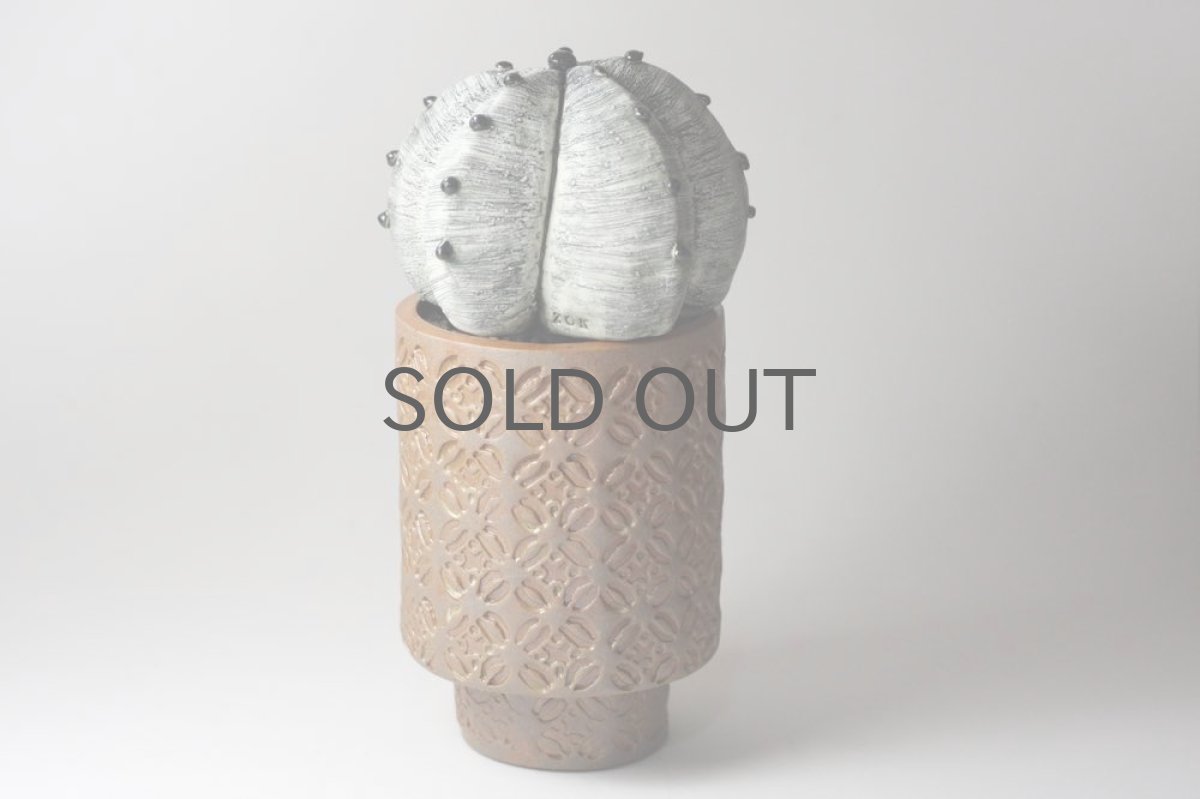 画像4: STUDIO.ZOK/サボテン/陶植/No.11 (4)