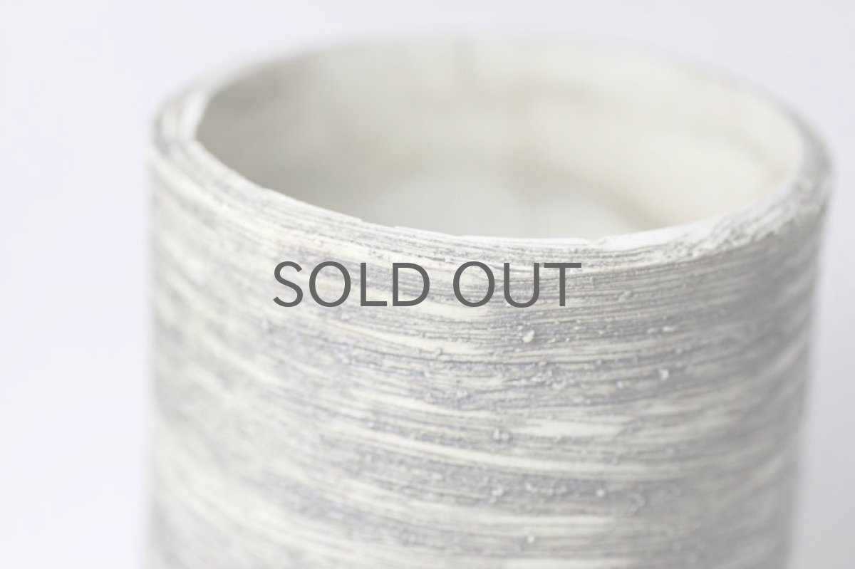 画像2: STUDIO.ZOK/サボテン/塊根植物用鉢/Mサイズ (2)