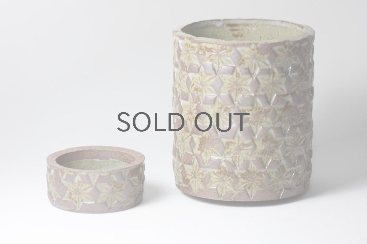 画像3: STUDIO.ZOK/サボテン/塊根植物用鉢/Mサイズ/No.2 (3)