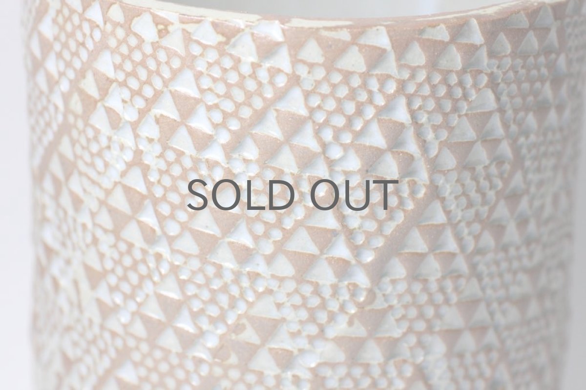 画像2: STUDIO.ZOK/サボテン/塊根植物用鉢/Lサイズ/No.1 (2)