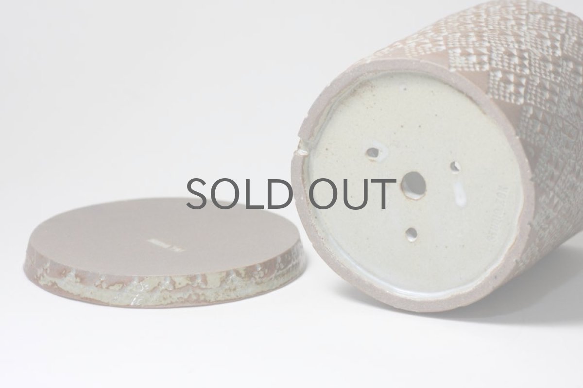 画像4: STUDIO.ZOK/サボテン/塊根植物用鉢/Lサイズ/No.1 (4)