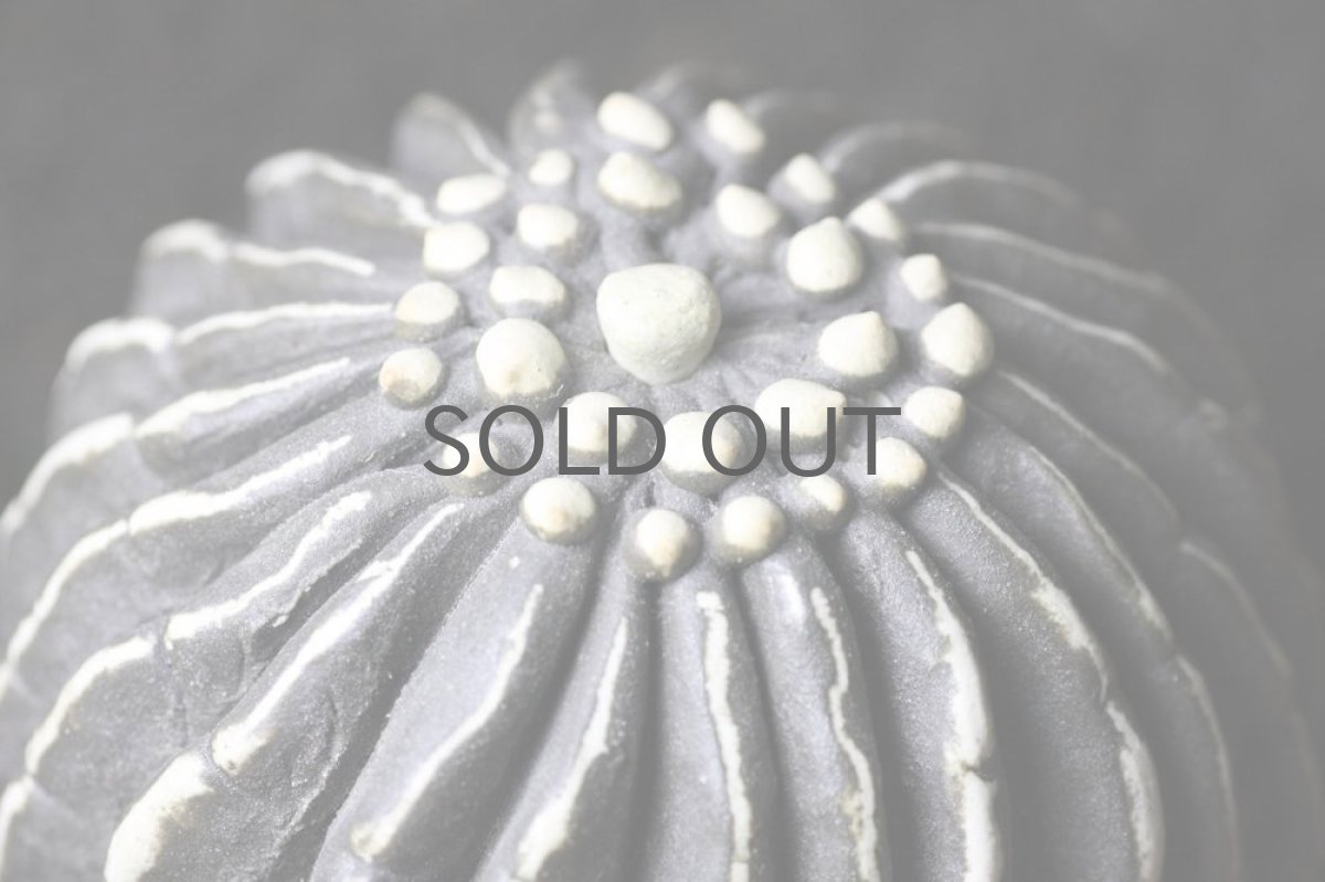 画像2: STUDIO.ZOK/サボテン/陶植/No.9 (2)