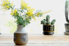 画像8: Upsala Ekeby/ウプサラエクビィ/ベース/花瓶/Göran Andersson/Star/スター/Mサイズ　 (8)