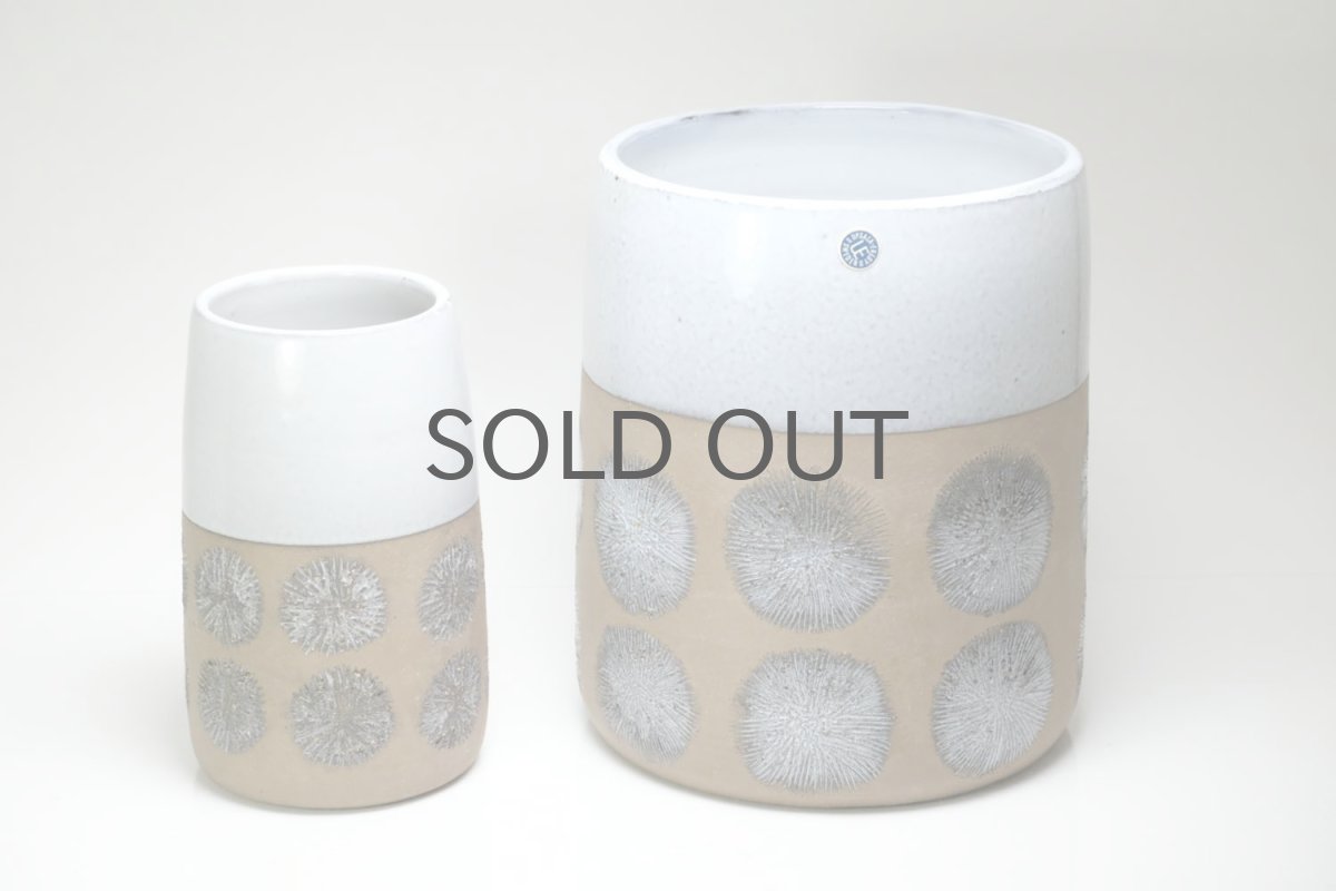 右の大きな方です